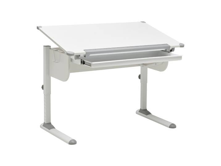 Schreibtisch höhenverstellbar, Stauraum höhenverstellbar neigbar neigbar 110/55-78/68 cm Grau, Weiss