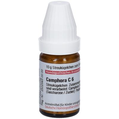 Camphora C 6 Globuli 10 g