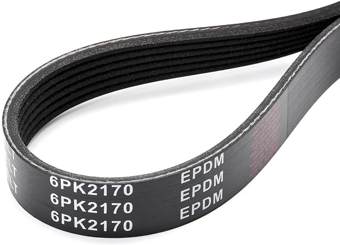 RIDEX 305P0248 Multiriem