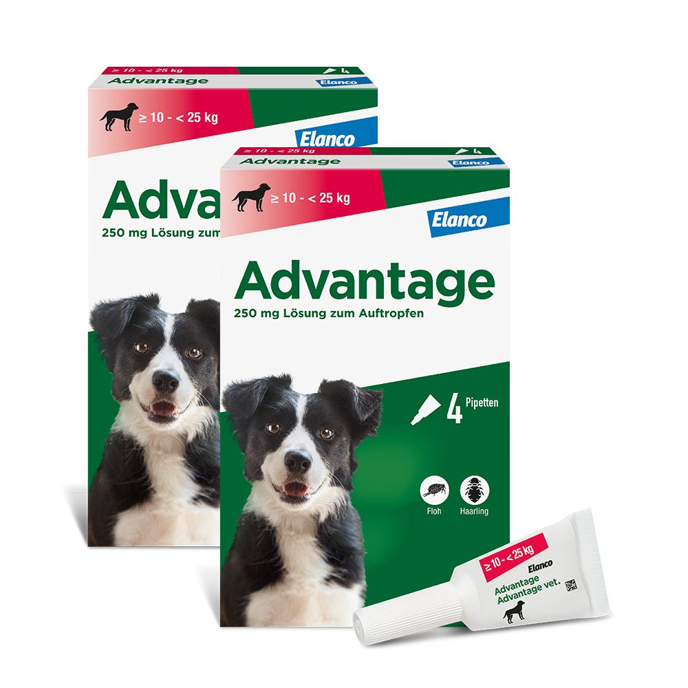 Advantage 250 Lösung f.Hunde 10-25 kg 2x 2x4 St