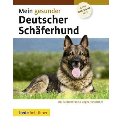Mein gesunder Deutscher Schäferhund, Gebundene Ausgabe von Lowell Ackerman, Verlag Eugen Ulmer, 978-3-8001-6776-0