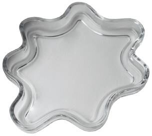 BIDKhome Filter glass plate - clear