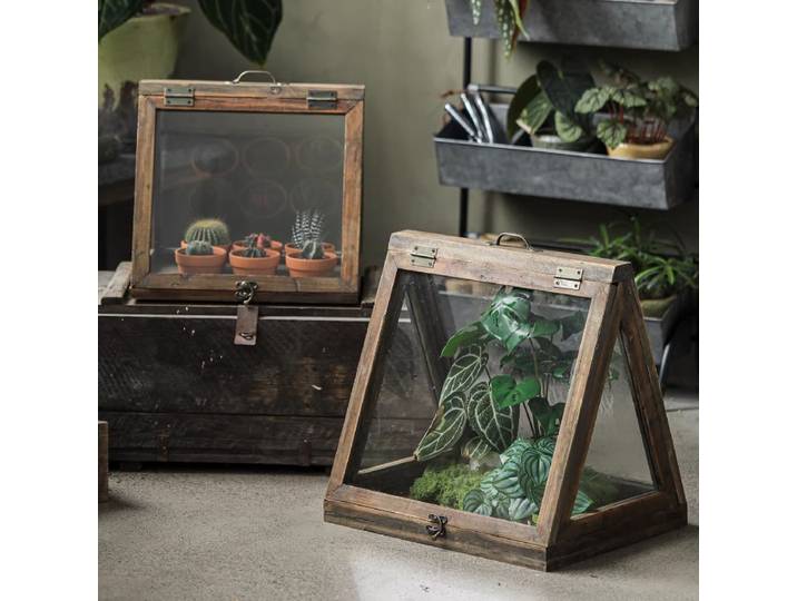 Serre en verre pour plantes d'hiver, cadre isolant vintage - Boîte de terrarium protectrice pour la décoration extérieure des balcons et des patios