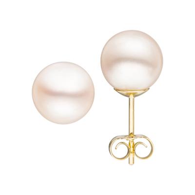 Paar Ohrstecker JOBO, gelb (gelbgold 585), Ohrringe, Damen, 8,5mm, Gelbgold 585 Perlen, Gelbgold 585, Perlen, 585 Gold mit Süßwasser-Zuchtperlen 8,5 mm