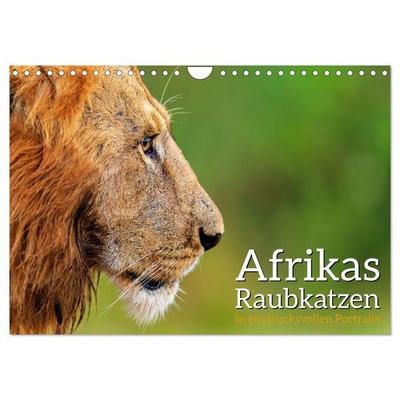 Afrikas Raubkatzen in eindrucksvollen Portraits (Wandkalender 2026 DIN A4 quer), CALVENDO Monatskalender