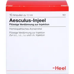 Aesculus Inj 10 ST