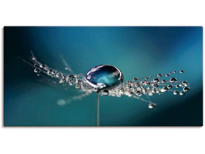 Leinwandbild ARTLAND Pusteblume Tautropfen blau , blau (farbe bild(er): blau), B:60cm H:30cm, Bilder, Leinwandbild, auf Holzrahmen gespannt