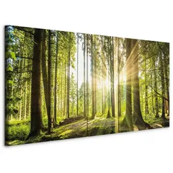 Leinwandbild Sunlight Grün ca. 200x80cm