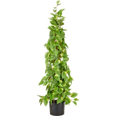 Kunstpflanze CREATIV GREEN "Epipremnum", grün, H:125cm, Obermaterial: 100% Kunststoff, Kunstpflanzen, Kunstpflanze, in Pyramidenform