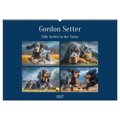 Gordon Setter. Edle Seelen in der Natur (Wandkalender 2027 DIN A2 quer), CALVENDO Monatskalender