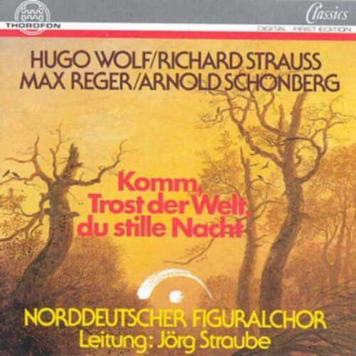 Jörg Straube - Komm Trost der Welt - Preis vom 13.10.2026 11:25:28 h