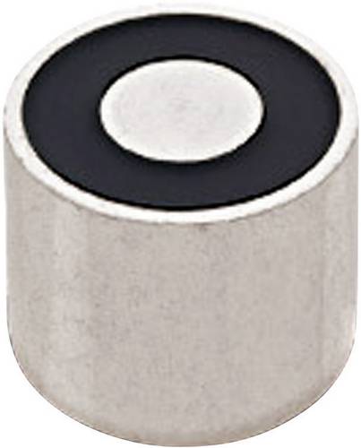 RED MAGNETICS Elektromagnet magnetisch (stromloser Zustand) 25 N 24 V/DC 3.6W ITS-PE-1515-24VDC