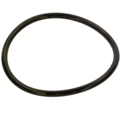 Bosch Ersatzteil TTNR: 87185725380 87185725380 O-Ring 120,02x6,99-N everp
