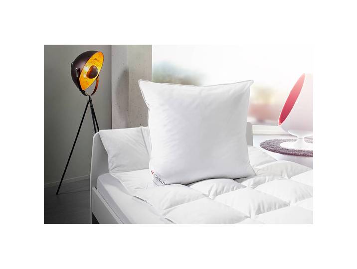 Oreiller Blanc 80 x 80 cm 70% plumes / 30% duvet 70 % plumes, 30 % duvet