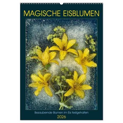 Magische Eisblumen (Wandkalender 2026 DIN A2 hoch), CALVENDO Monatskalender