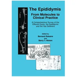 The Epididymis: From Molecules to Clinical Practice, Fachbücher von Bernard Robaire, Barry T. Hinton