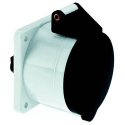 Bals Elektrotechnik 13012 13012 CEE Anbaudose 32.0 A 4polig 500 V 1 St.