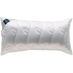billerbeck Kopfkissen Belair 40 x 60 cm Baumwolle Weiß