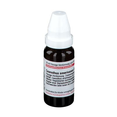 Ceanothus Americanus D 6 Dilution 20 ml