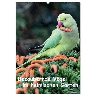 Bezaubernde Vögel im heimischen Garten (Wandkalender 2027 DIN A2 hoch), CALVENDO Monatskalender