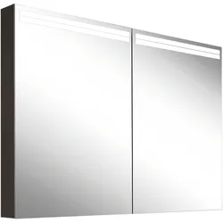 Schneider ARANGA TW Lichtspiegelschrank, 2 Türen, 895x120x700mm, Lichtbänder oben, 160.490.01.44, Ausführung: CH-Norm/Korpus schwarz matt
