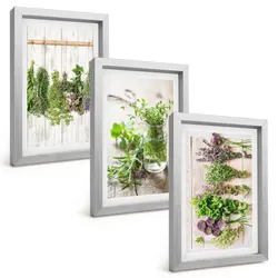 BILDER SET 3er Set - 20x30 cm Silberner Rahmen - Kräuterpflanzen für die Küche