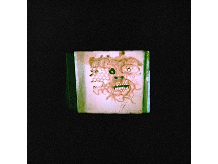 Chris & The Lasso Orrick - I Read That I..