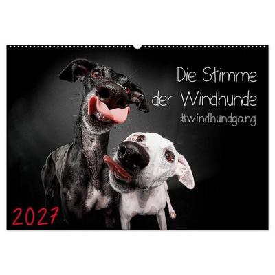 Die Stimme der Windhunde (Wandkalender 2027 DIN A2 quer), CALVENDO Monatskalender