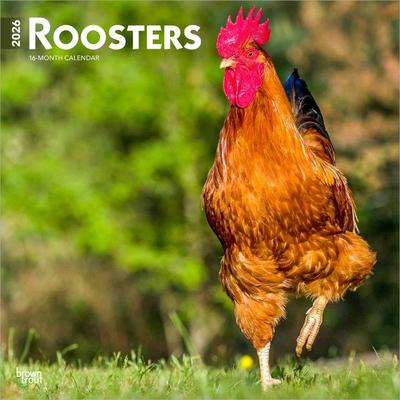 Roosters 2026 12 X 24 Inch (Hanging) Monthly Square Wall Calendar Plastic-Free