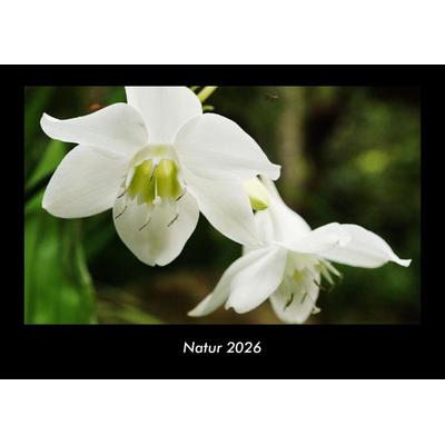 Natur 2026 Fotokalender DIN A3