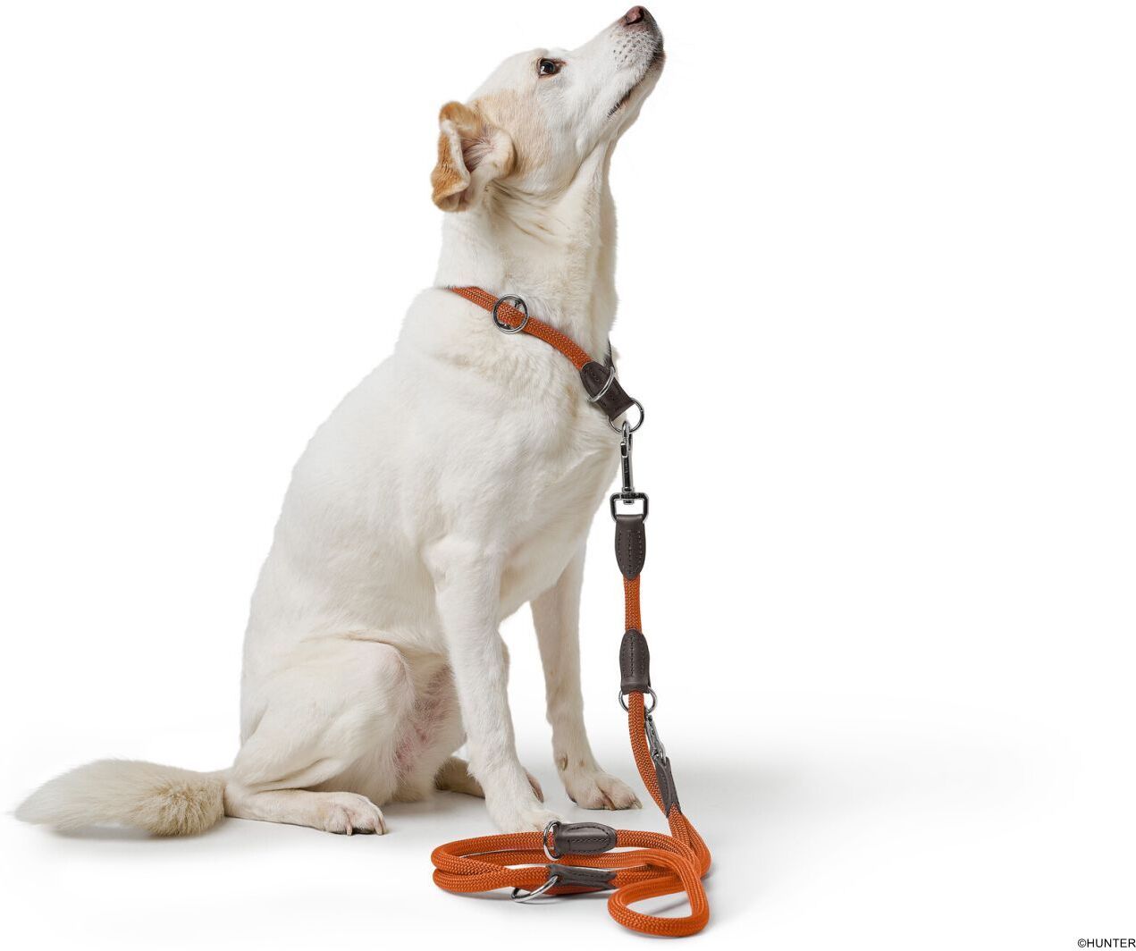 DOG SPORT HUNTER Verstellbare Führleine Freestyle 8/200, orange
