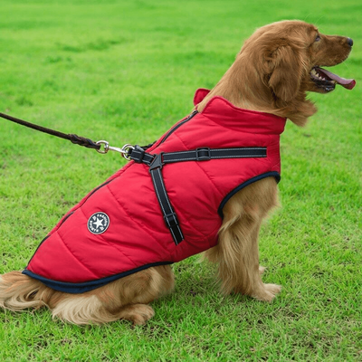 PetsAreLife Dog Coat With Zipper On Back Red L