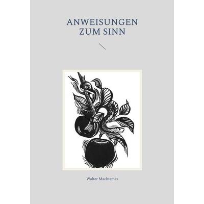 Anweisungen zum Sinn, Taschenbuch von Walter Machtemes, BoD – Books on Demand, 978-3-7568-7394-4