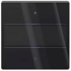 Theben 4804412 LUXORliving iON2 G BK Temperaturregler Unterputz 1 St.