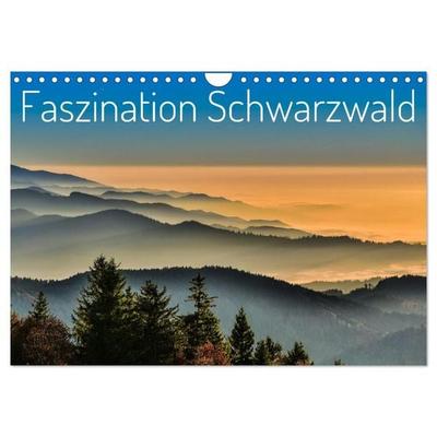 Faszination Schwarzwald (Wandkalender 2027 DIN A4 quer), CALVENDO Monatskalender