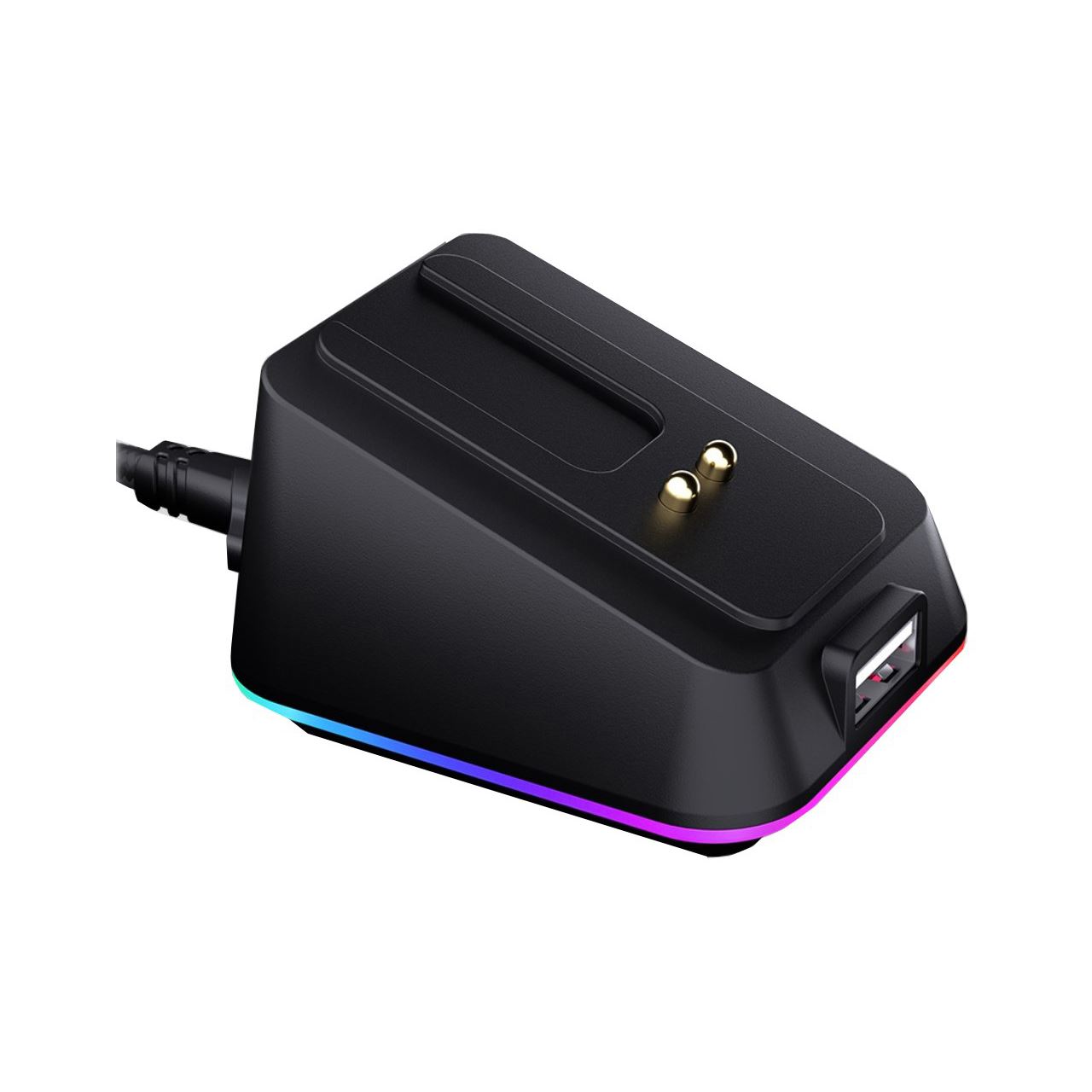 ENDORFY Mouse Dock Black, für LIV Wireless, LIV Plus Wireless (schwarz, Kabel 1,8 Meter)
