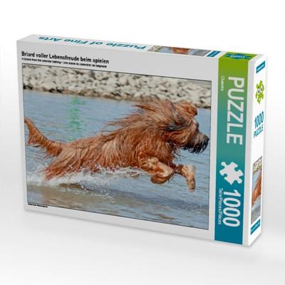 CALVENDO Puzzle Briard voller Lebensfreude beim spielen | 1000 Teile Lege-Größe 64x48cm Foto-Puzzle für glückliche Stunden