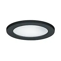 Zumtobel 60800841 Schutzglas (IP54) CAR EVO M IP54 GLASS BK
