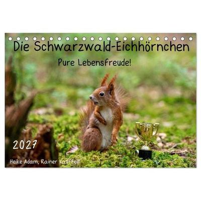 Die Schwarzwald-Eichhörnchen (Tischkalender 2027 DIN A5 quer), CALVENDO Monatskalender