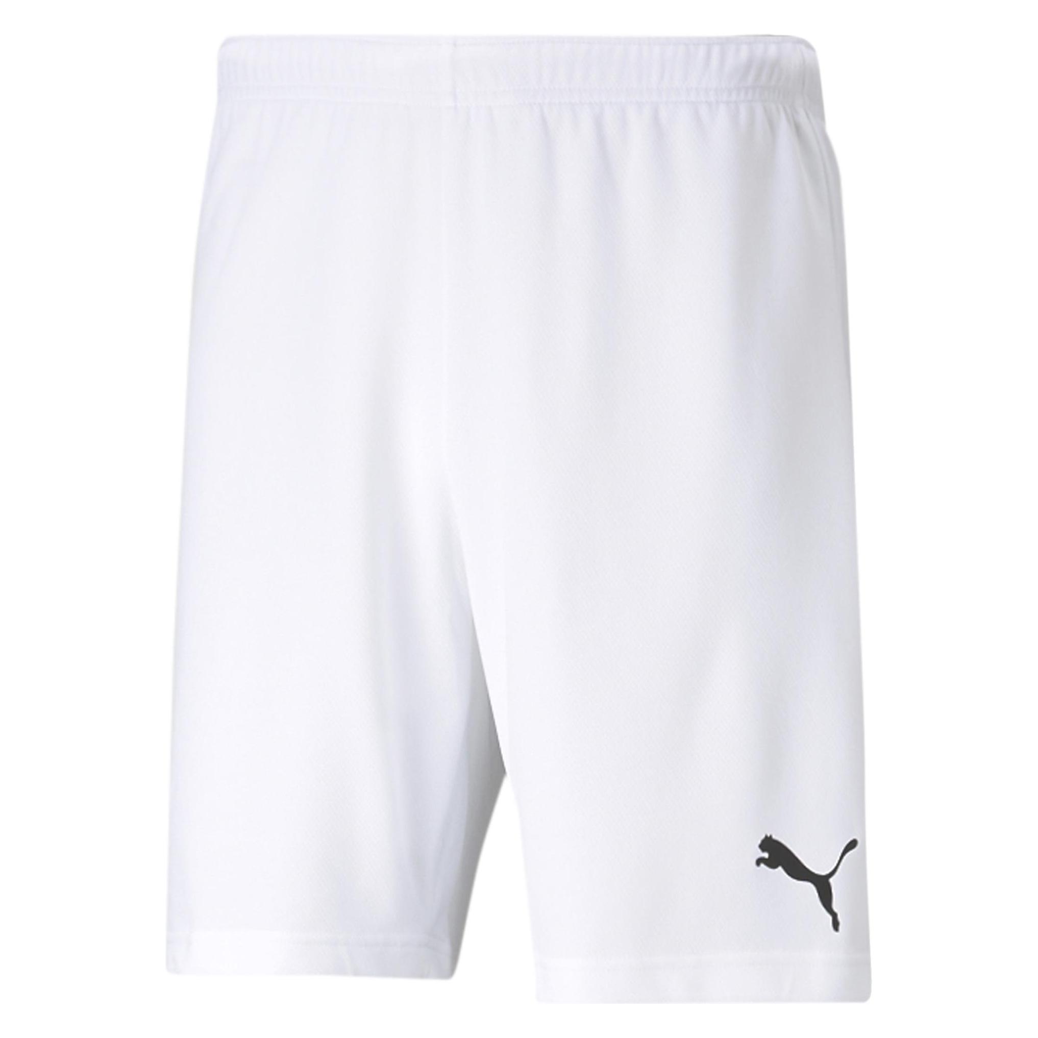 Puma teamRISE Short-704942 (M) (704942_03)