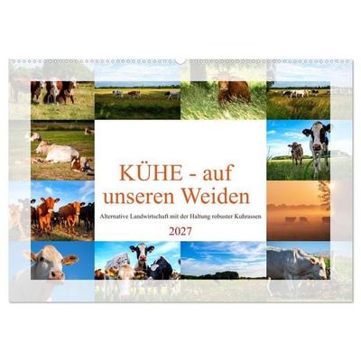 Kühe - auf unseren Weiden (Wandkalender 2027 DIN A2 quer), CALVENDO Monatskalender
