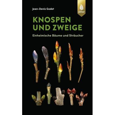 Knospen und Zweige, Gebundene Ausgabe von Jean-Denis Godet, Verlag Eugen Ulmer, 978-3-8186-0964-1