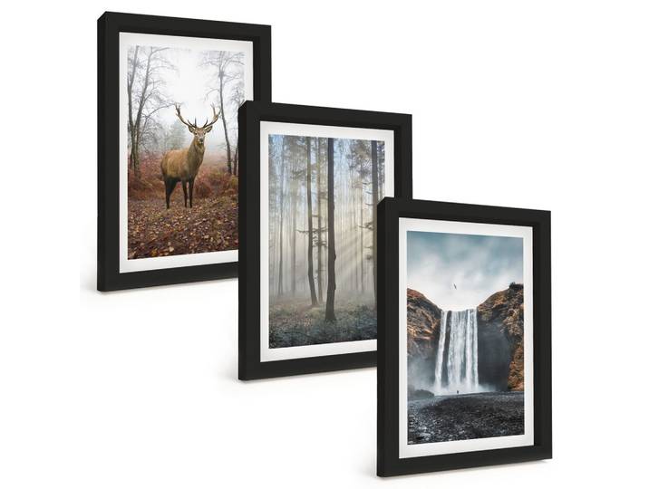 BILDER SET 3er Set - 20x30 cm Schwarzer Rahmen - Waldlandschaften, wilde Natur