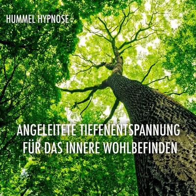 Angeleitete Tiefenentspannung für das innere Wohlbefinden - Morena Hummel, Audio, 4070169423008