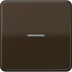 Jung Wippe Lichtleiter br CD 590 KO5 BR CD590KO5BR