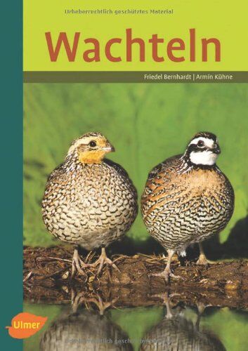 Friedel Bernhardt - Wachteln - Preis vom 09.10.2026 07:28:09 h