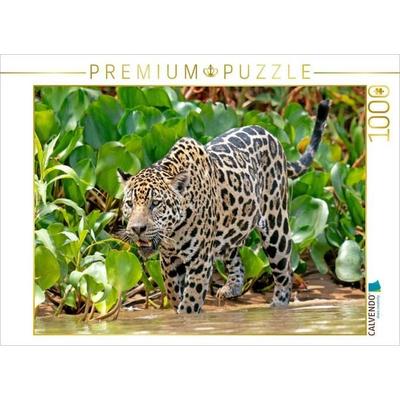CALVENDO Puzzle Jaguar auf der Pirsch | 1000 Teile Lege-Größe 64x48cm Foto-Puzzle für glückliche Stunden