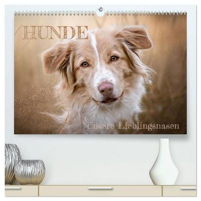 Hunde - Unsere Lieblingsnasen (hochwertiger Premium Wandkalender 2027 DIN A2 quer), Kunstdruck in Hochglanz
