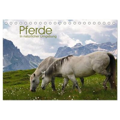 Pferde - In natürlicher Umgebung (Tischkalender 2026 DIN A5 quer), CALVENDO Monatskalender