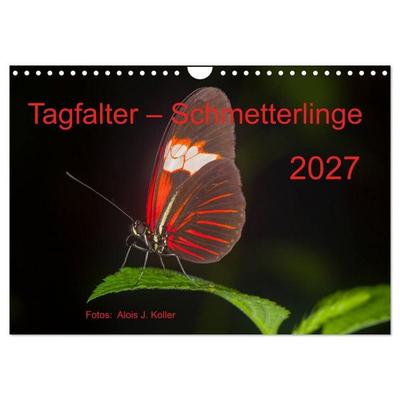 Tagfalter Schmetterlinge (Wandkalender 2027 DIN A4 quer), CALVENDO Monatskalender